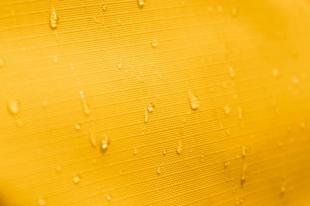 Everything Backpack in the wild under a light rainfall showing durability.